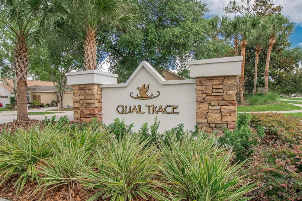 21040 GREEN WING COURT Land O Lakes, FL 34637