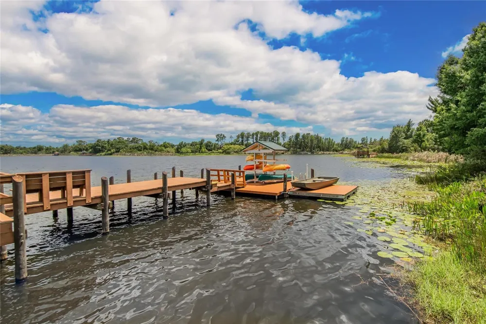 21040 GREEN WING COURT Land O Lakes, FL 34637