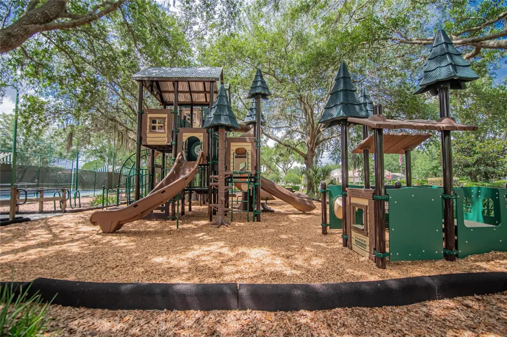21040 GREEN WING COURT Land O Lakes, FL 34637