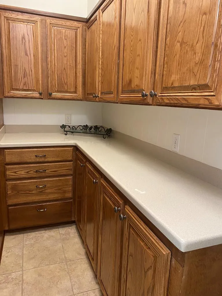 1605 Lissa Drive Mccomb, MS 39648