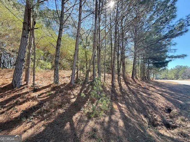0 McDonough PKWY McDonough, GA 30253