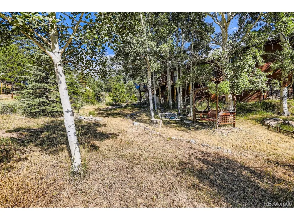 42 Catamount Ridge Road Bailey, CO 80421