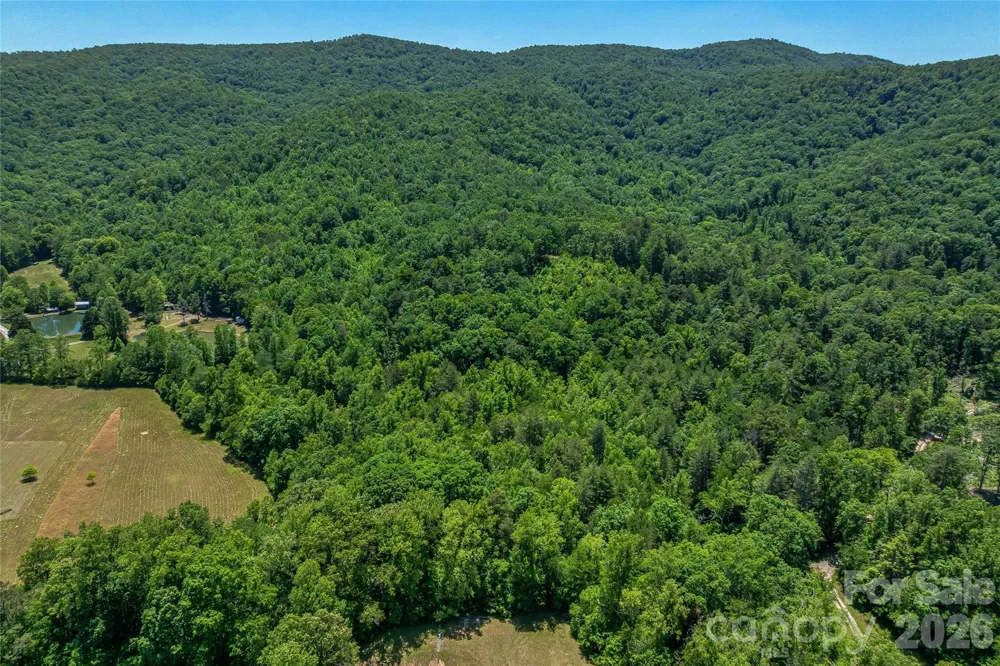 180 Fat Wall Road Marion, NC 28752