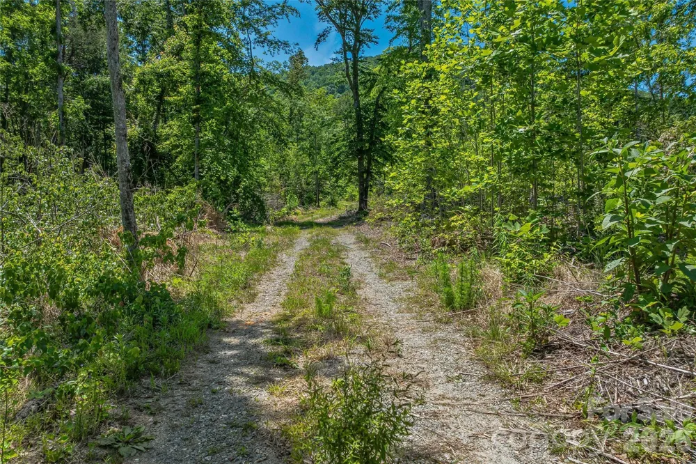 180 Fat Wall Road Marion, NC 28752