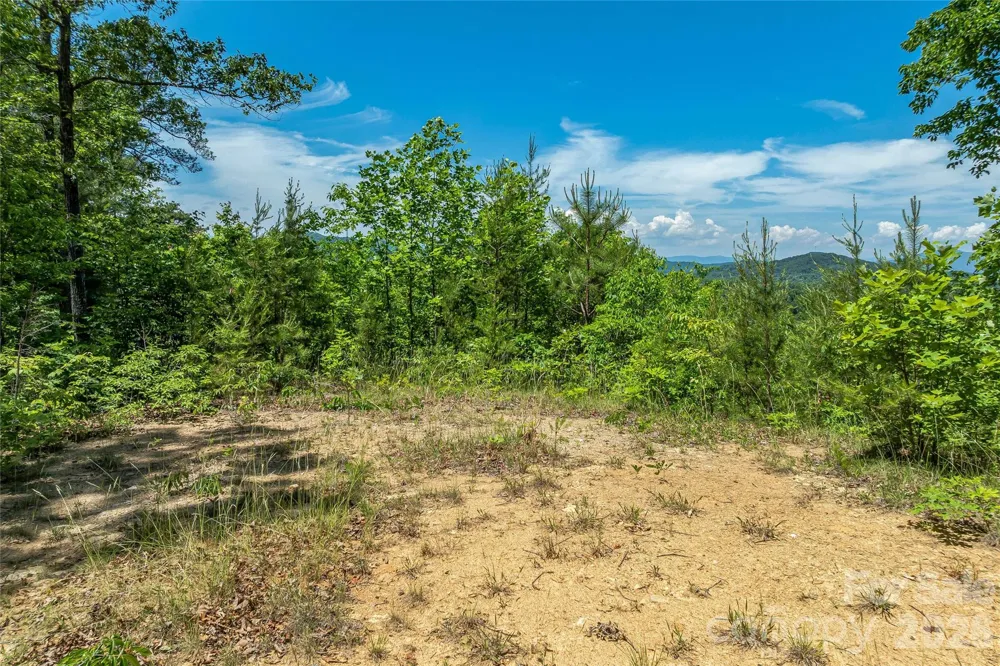 180 Fat Wall Road Marion, NC 28752