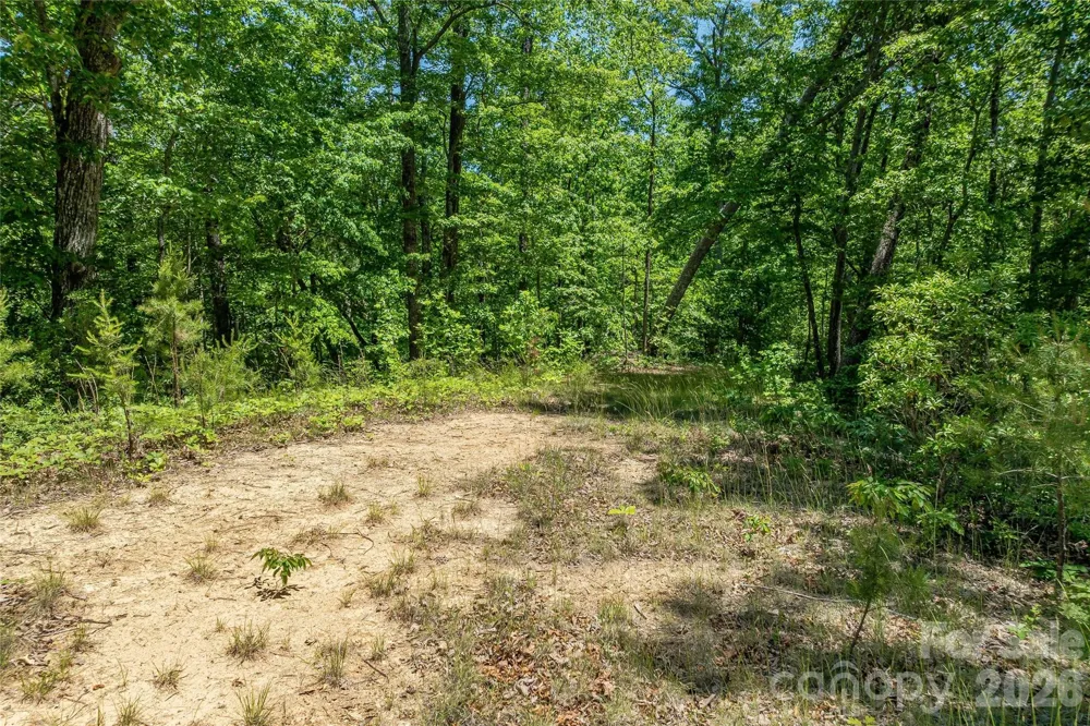 180 Fat Wall Road Marion, NC 28752