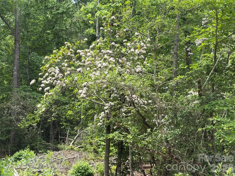 180 Fat Wall Road Marion, NC 28752
