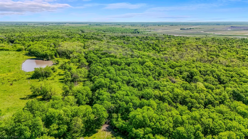 Co Rd 218 Road Forney, TX 75126
