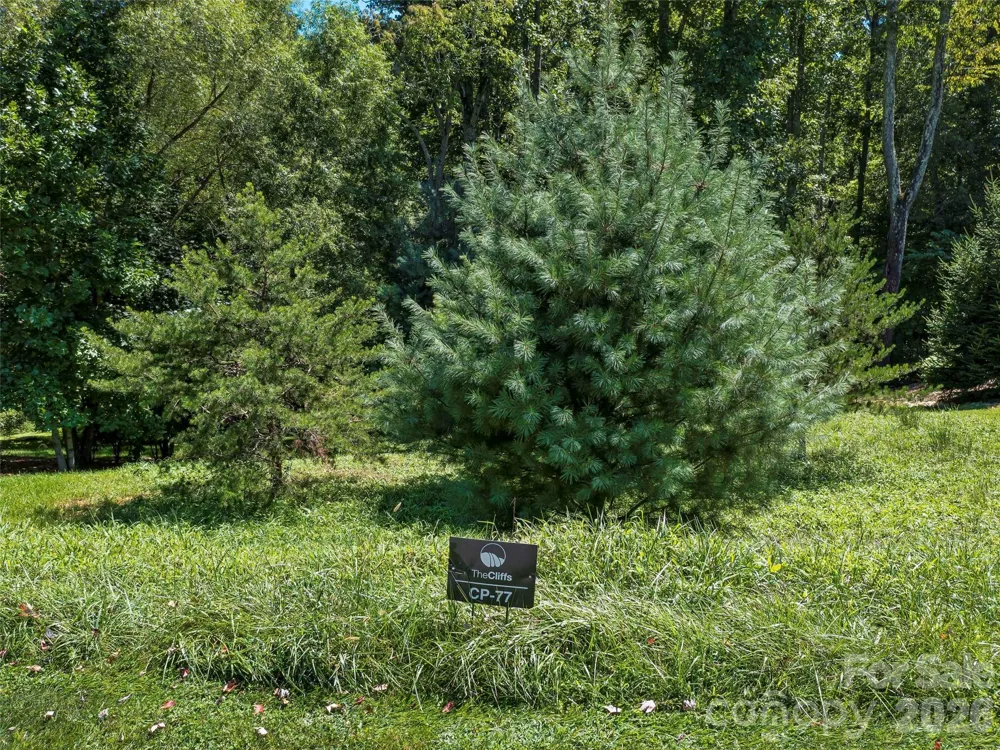 19 Mountain Orchid Way #77 Arden, NC 28704