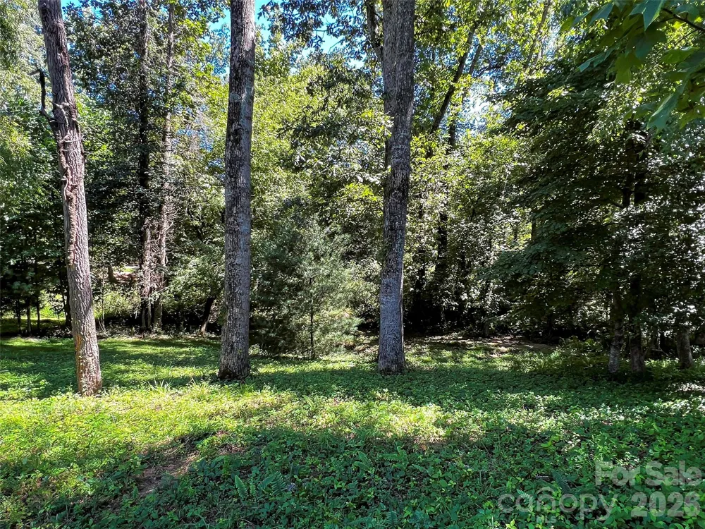 19 Mountain Orchid Way #77 Arden, NC 28704