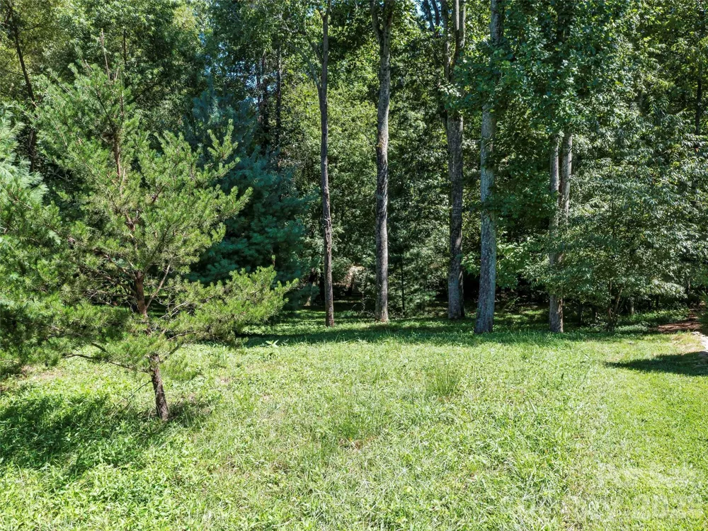 19 Mountain Orchid Way #77 Arden, NC 28704