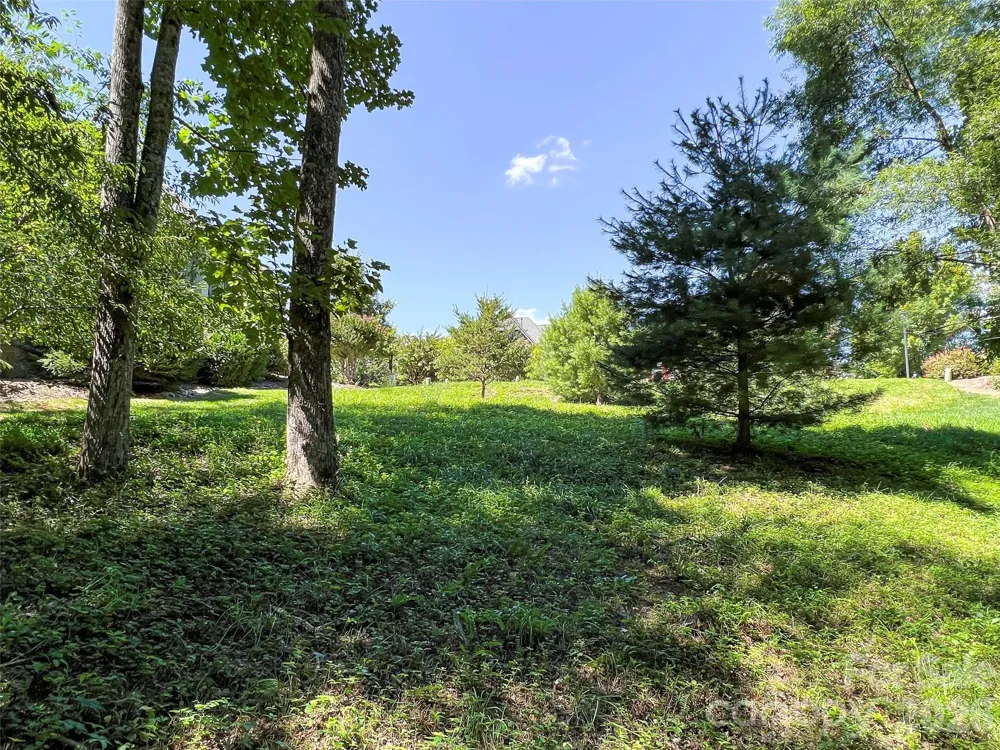 19 Mountain Orchid Way #77 Arden, NC 28704