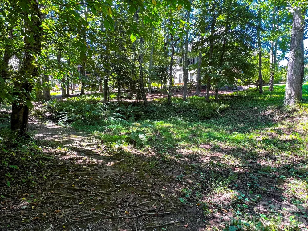 19 Mountain Orchid Way #77 Arden, NC 28704