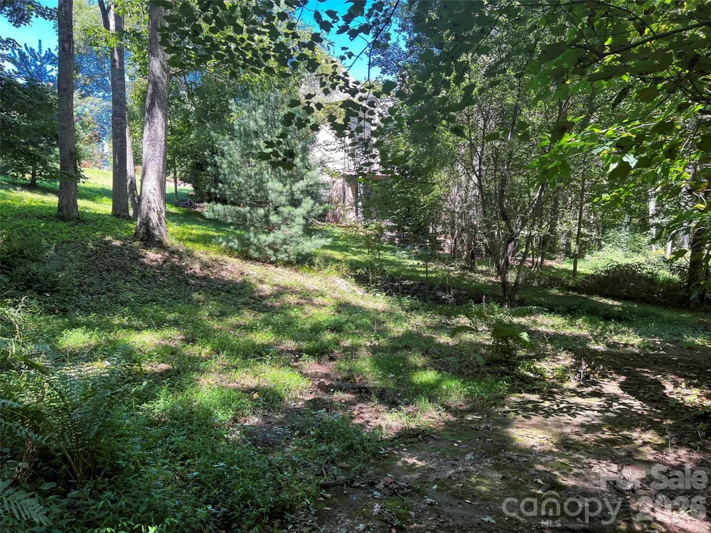 19 Mountain Orchid Way #77 Arden, NC 28704