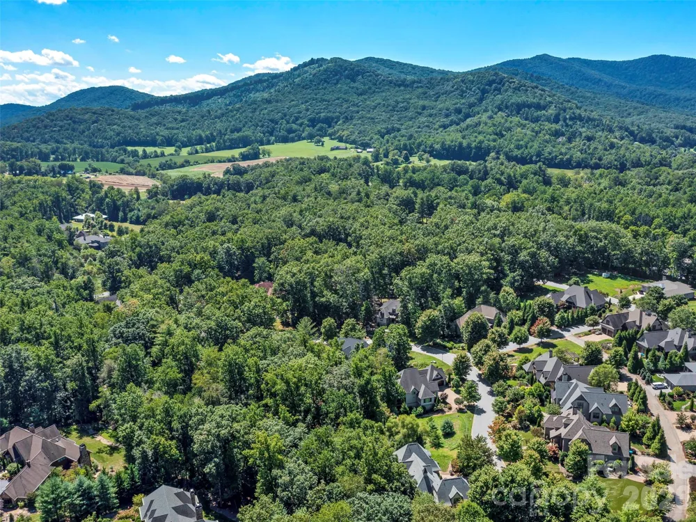 19 Mountain Orchid Way #77 Arden, NC 28704
