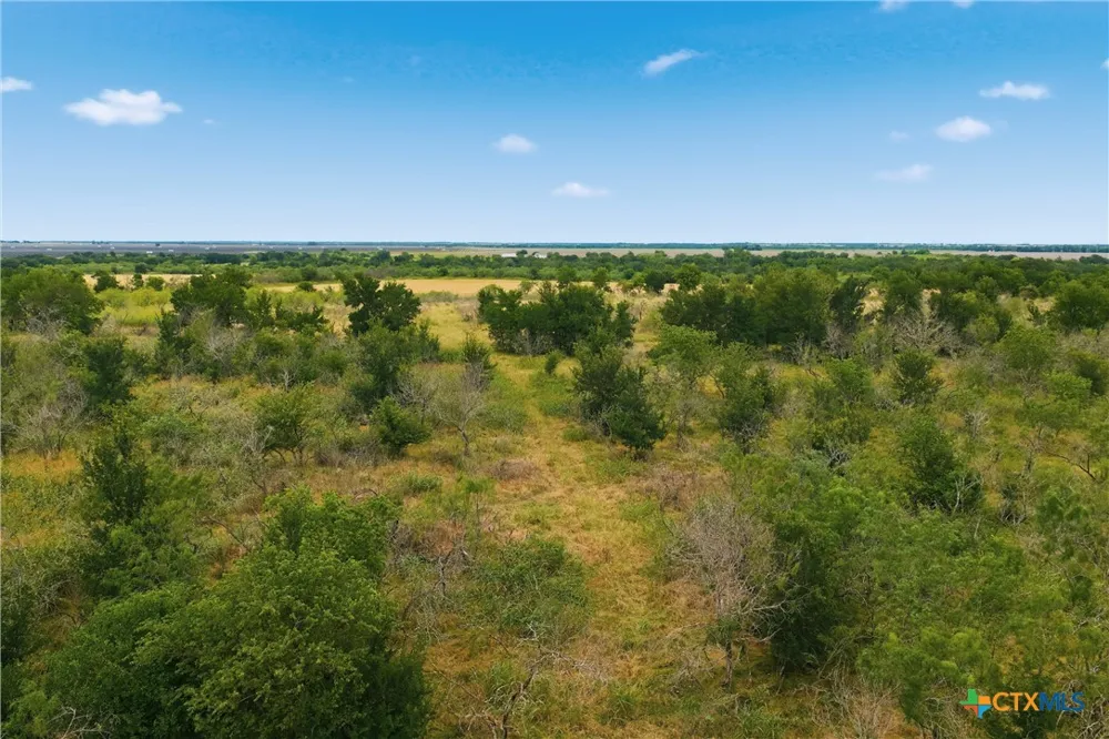 TBD FM 1915 Buckholts, TX 76518