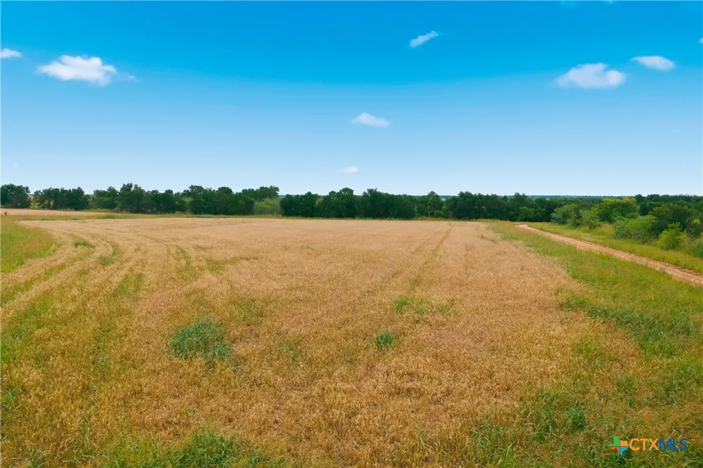 TBD FM 1915 Buckholts, TX 76518