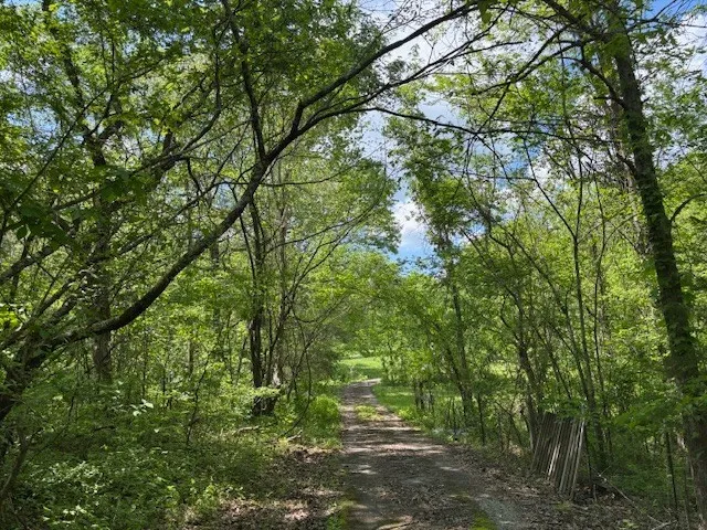 2517 Patton Hollow Rd Watertown, TN 37184