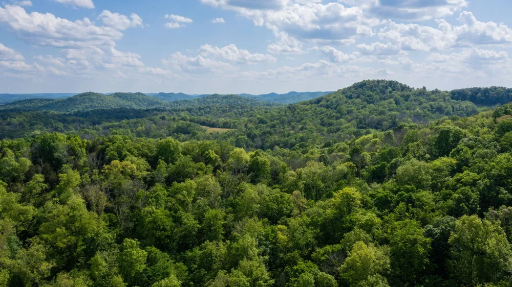 2517 Patton Hollow Rd Watertown, TN 37184