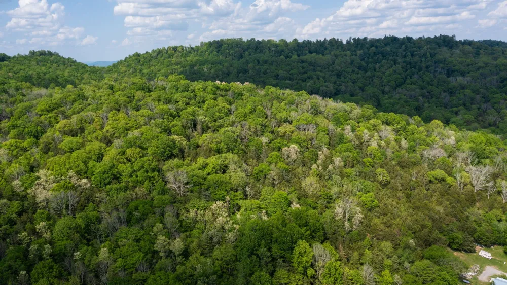2517 Patton Hollow Rd Watertown, TN 37184