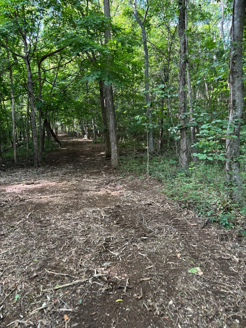 2517 Patton Hollow Rd Watertown, TN 37184