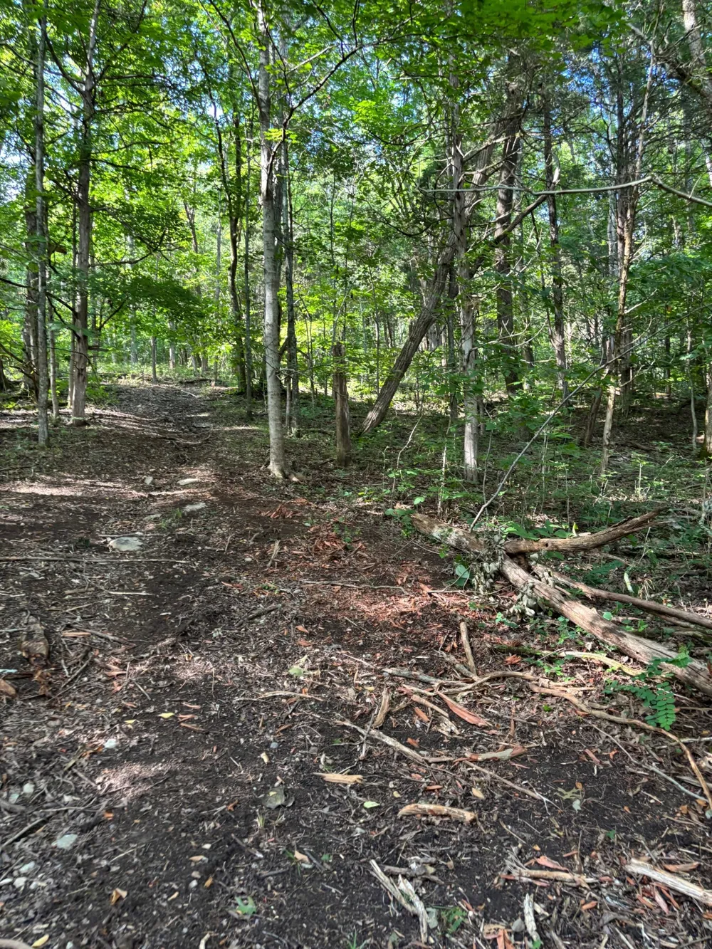 2517 Patton Hollow Rd Watertown, TN 37184