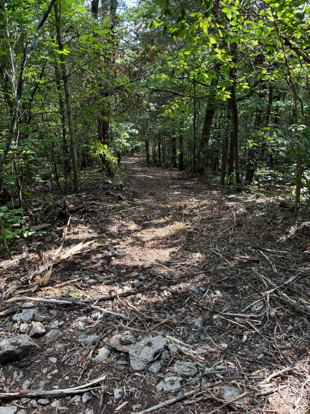 2517 Patton Hollow Rd Watertown, TN 37184