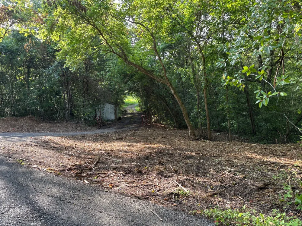 2517 Patton Hollow Rd Watertown, TN 37184