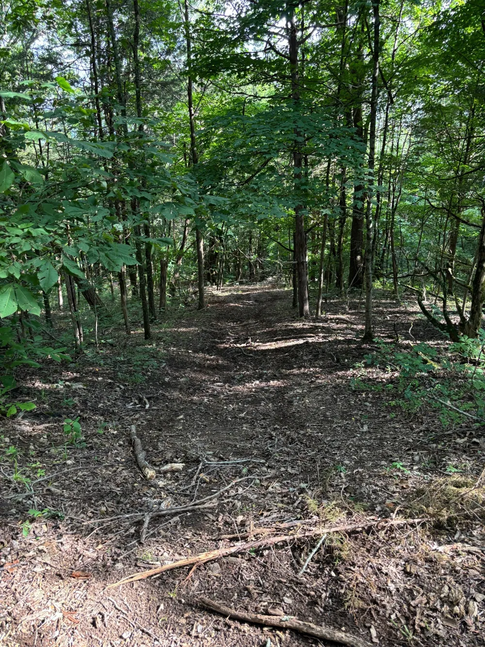 2517 Patton Hollow Rd Watertown, TN 37184