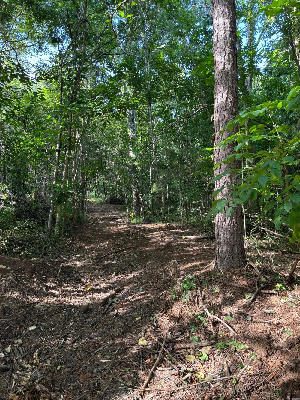 2517 Patton Hollow Rd Watertown, TN 37184