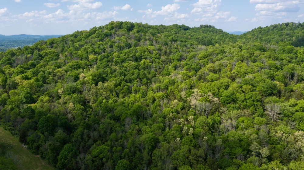 2517 Patton Hollow Rd Watertown, TN 37184