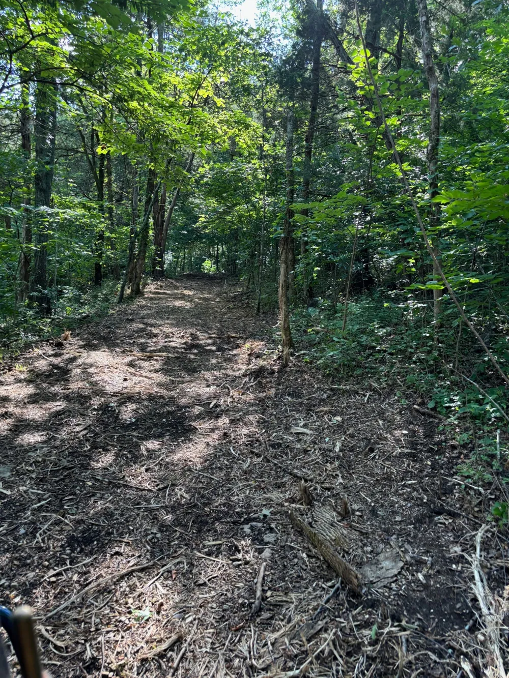 2517 Patton Hollow Rd Watertown, TN 37184