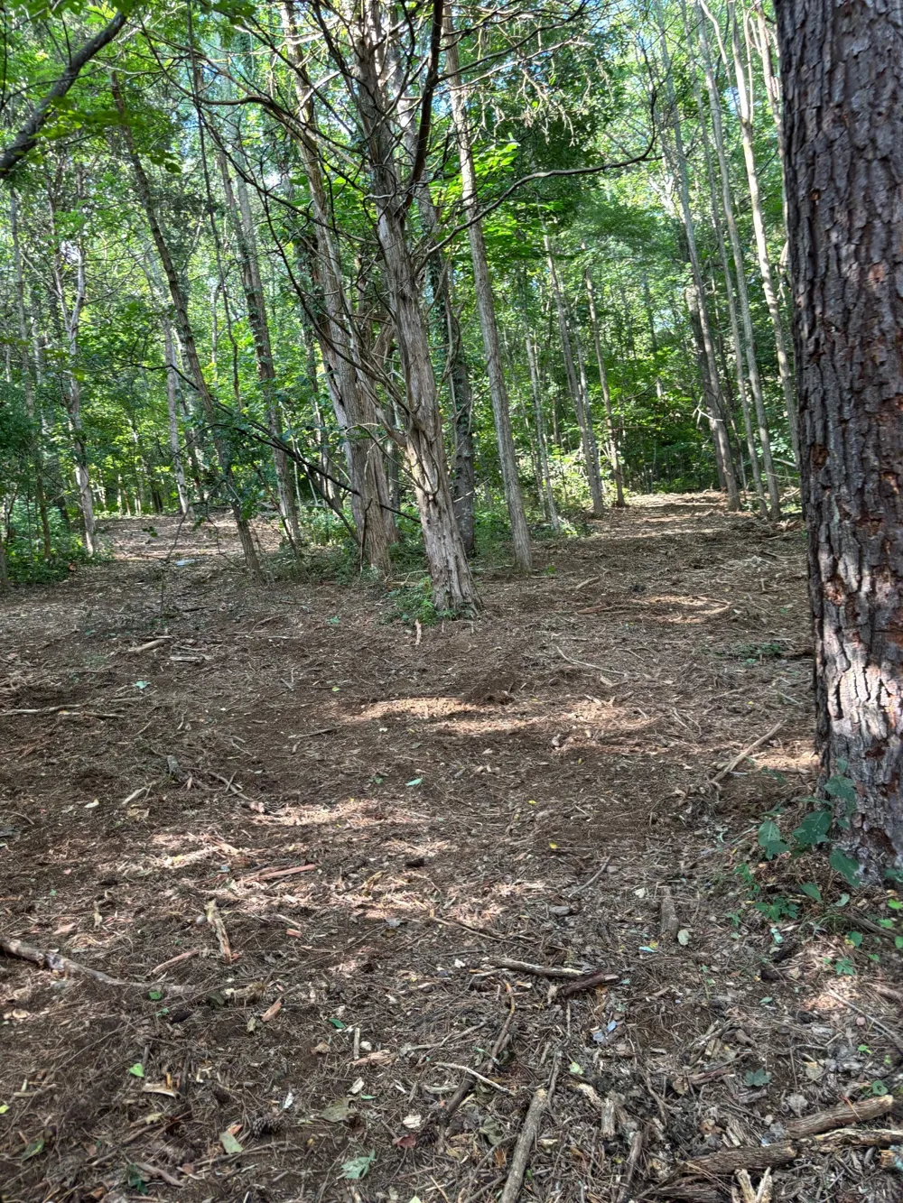 2517 Patton Hollow Rd Watertown, TN 37184