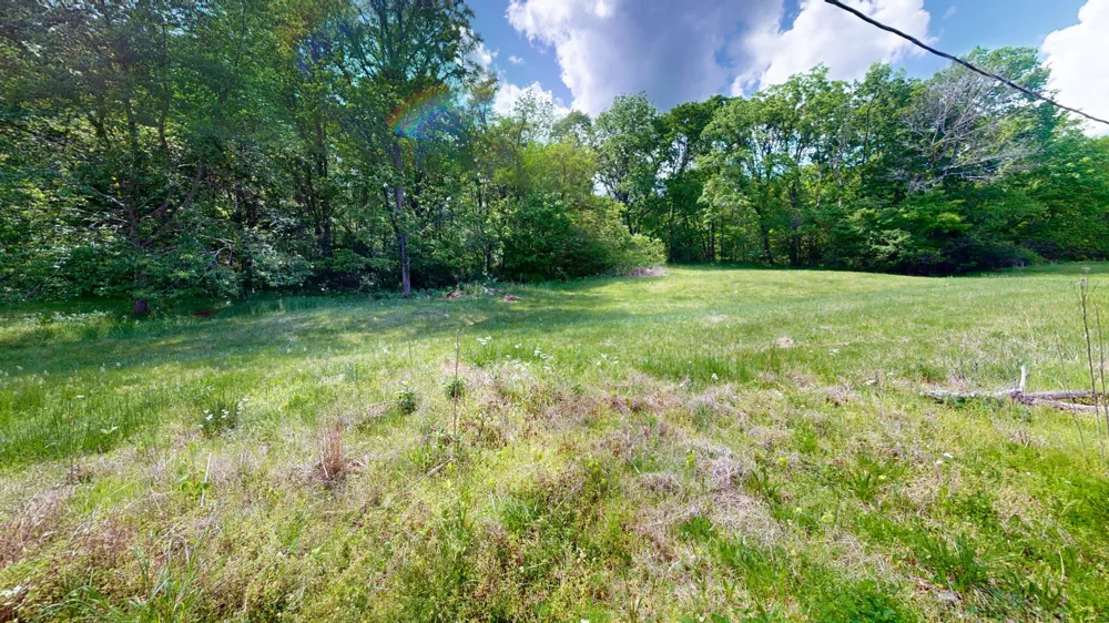 2517 Patton Hollow Rd Watertown, TN 37184