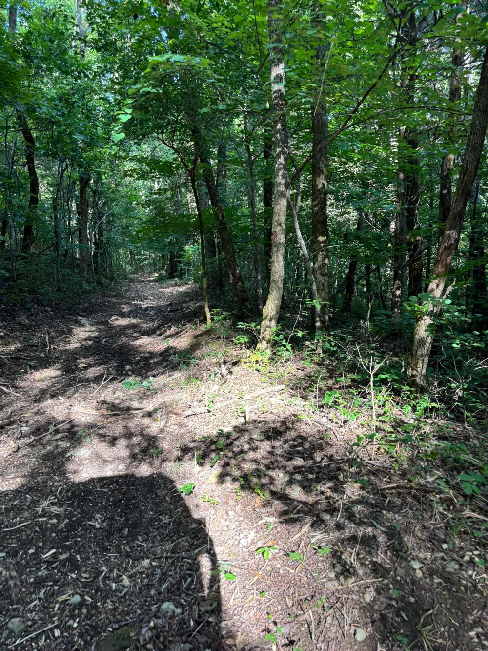 2517 Patton Hollow Rd Watertown, TN 37184