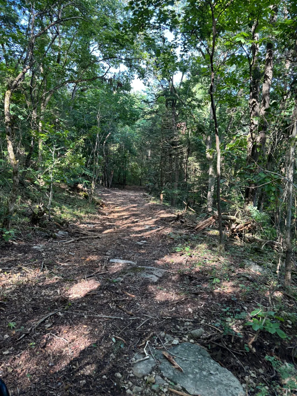 2517 Patton Hollow Rd Watertown, TN 37184