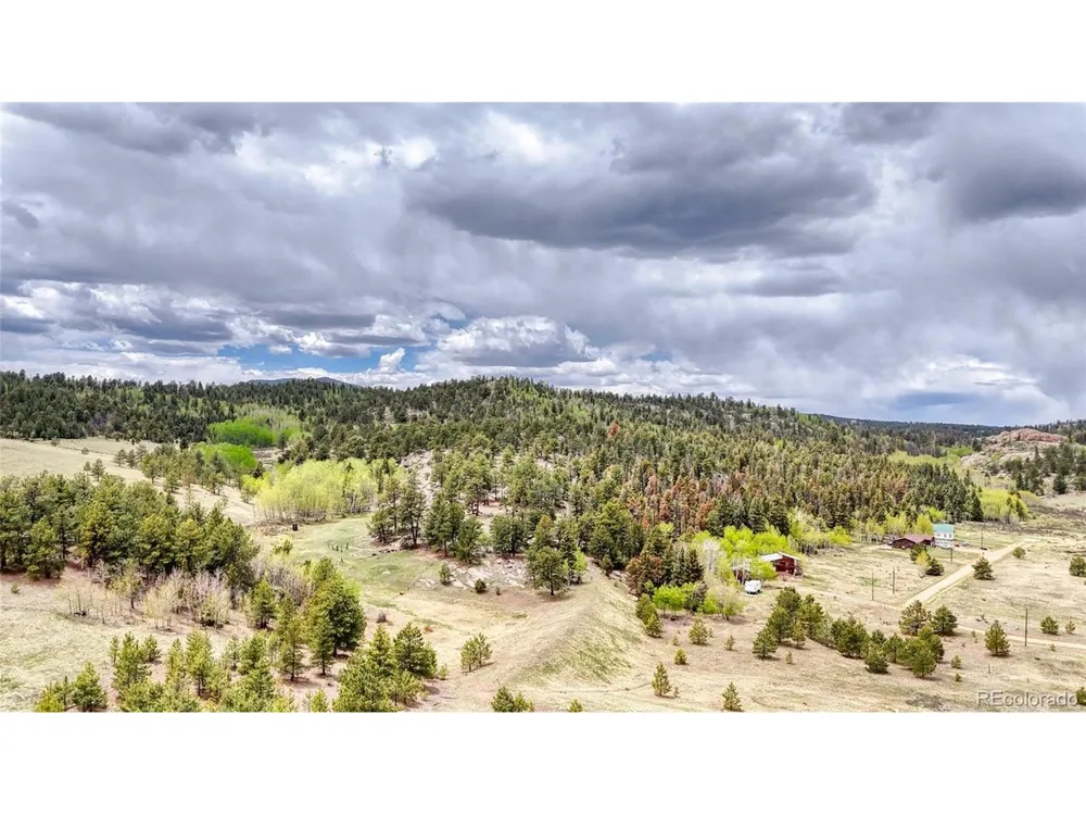 7 County Road 403 Florissant, CO 80816