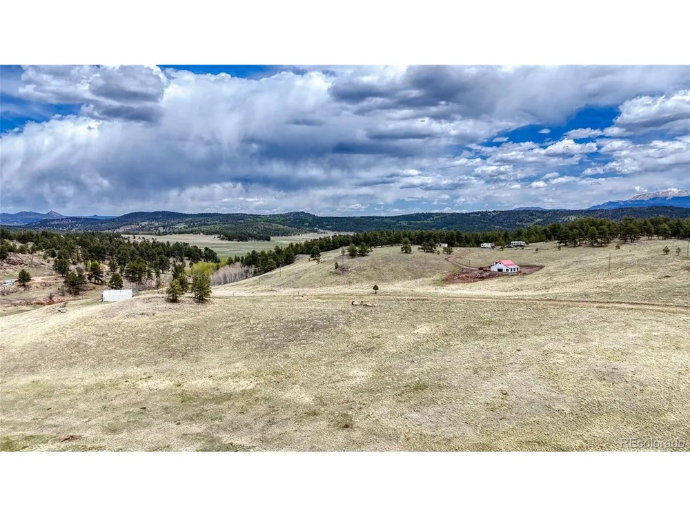 7 County Road 403 Florissant, CO 80816