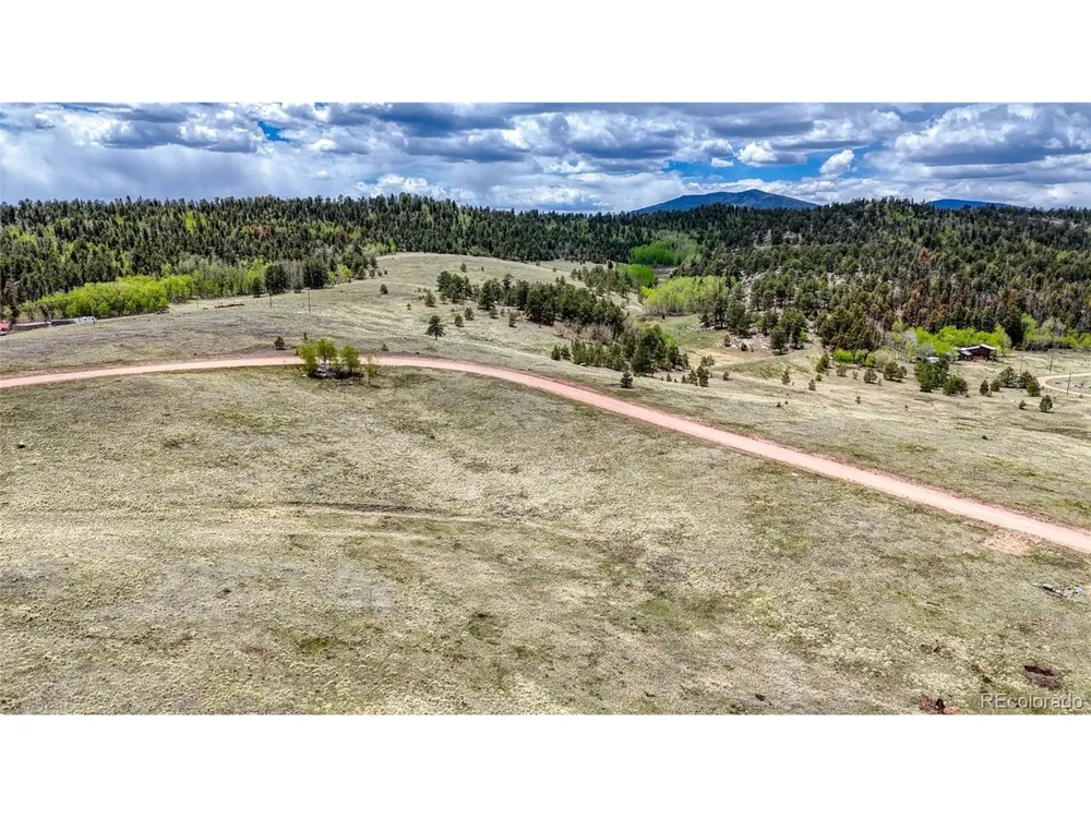 7 County Road 403 Florissant, CO 80816