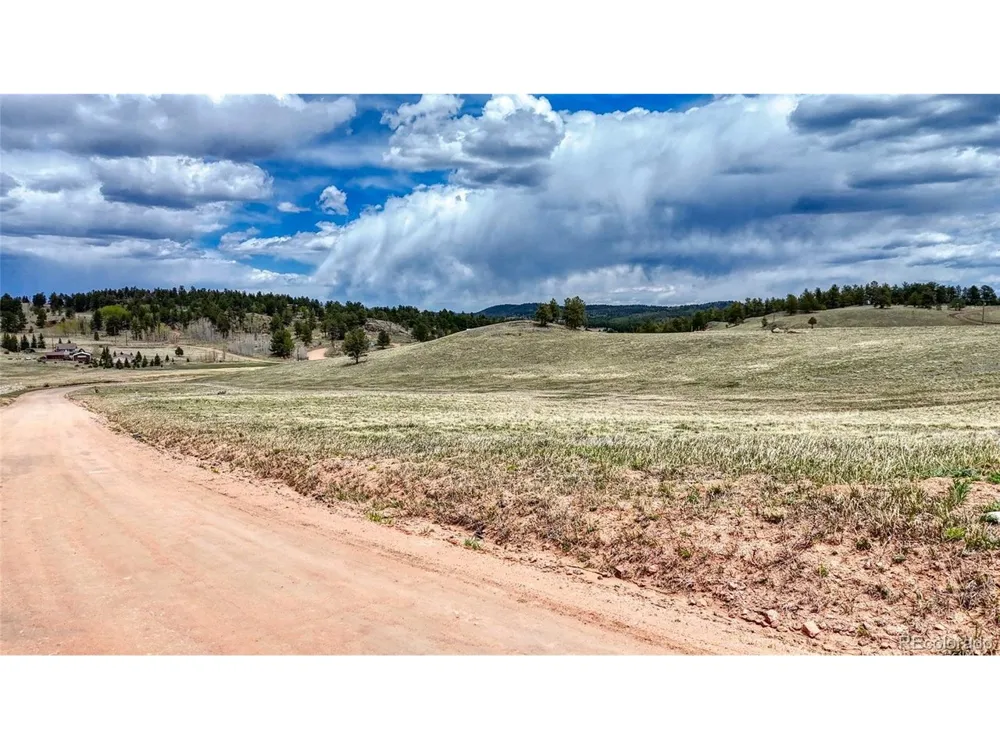 7 County Road 403 Florissant, CO 80816