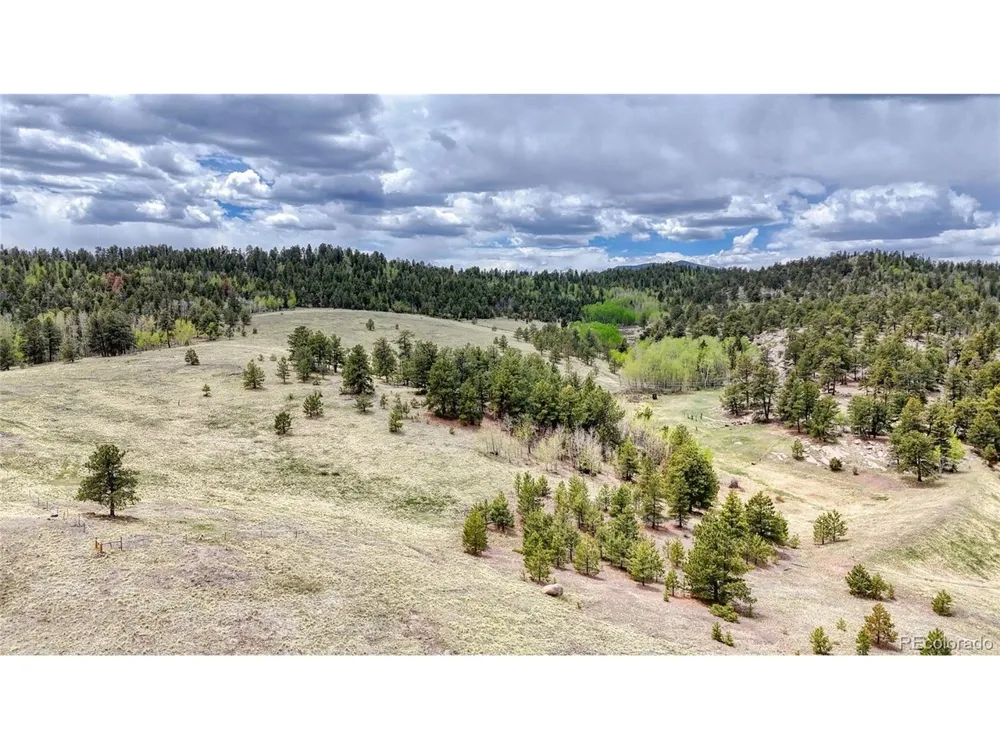 7 County Road 403 Florissant, CO 80816