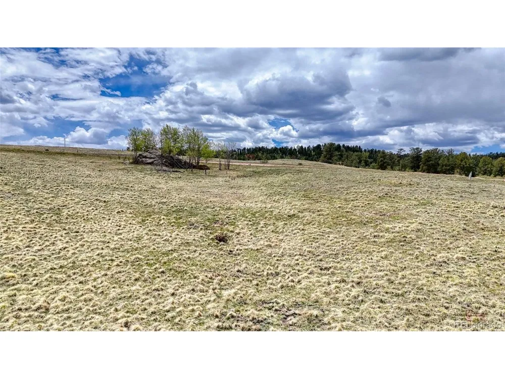 7 County Road 403 Florissant, CO 80816