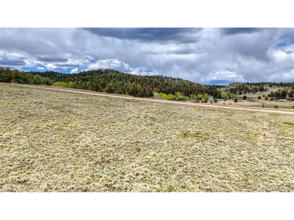 7 County Road 403 Florissant, CO 80816