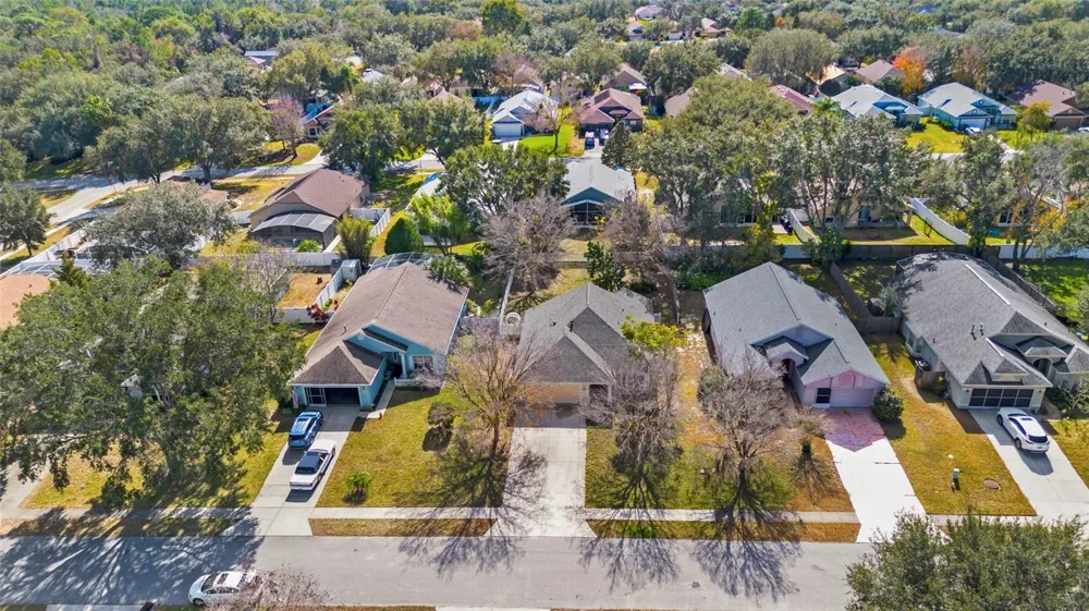 10314 PATRICK DRIVE Leesburg, FL 34788