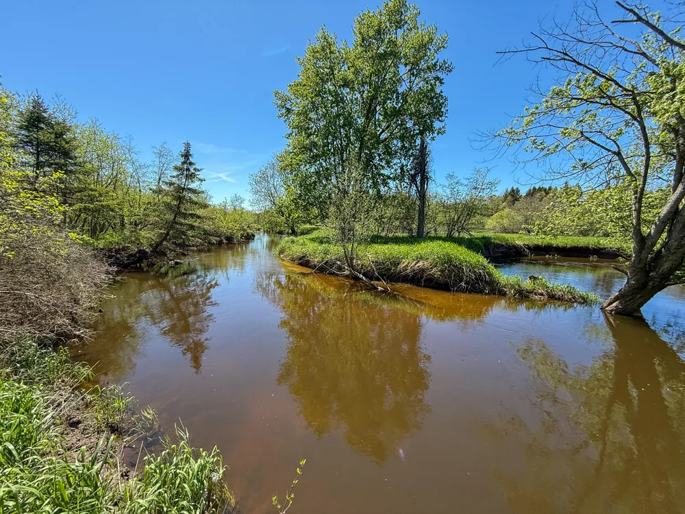 1583 Dennis Road Amber Township, MI 49431