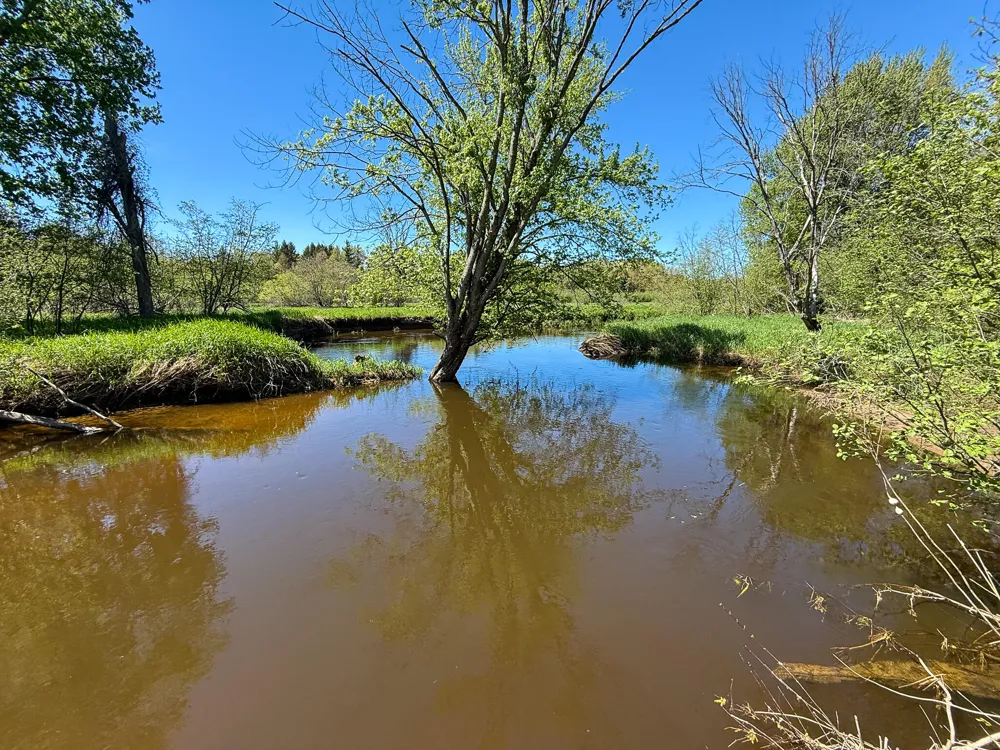 1583 Dennis Road Amber Township, MI 49431