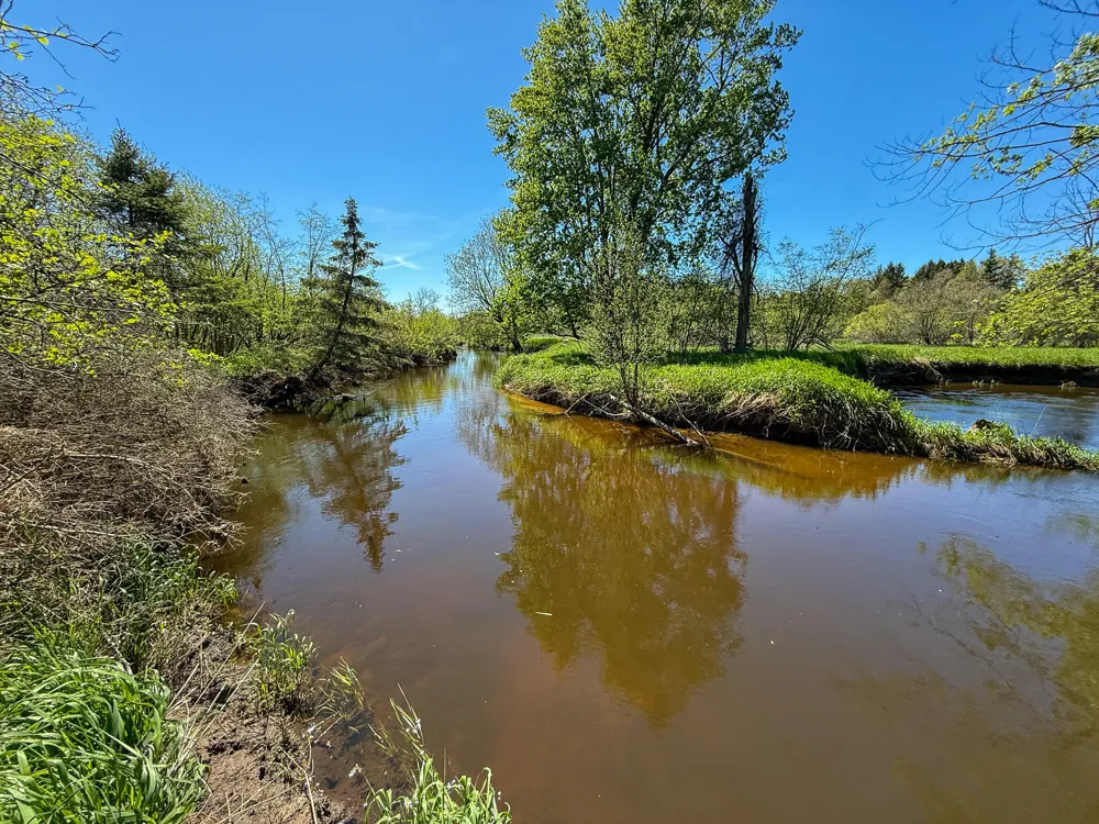 1583 Dennis Road Amber Township, MI 49431