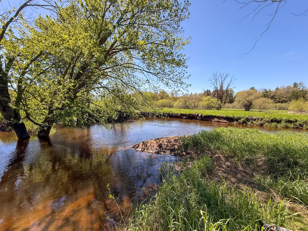 1583 Dennis Road Amber Township, MI 49431