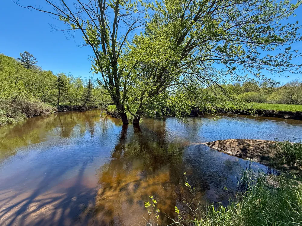 1583 Dennis Road Amber Township, MI 49431