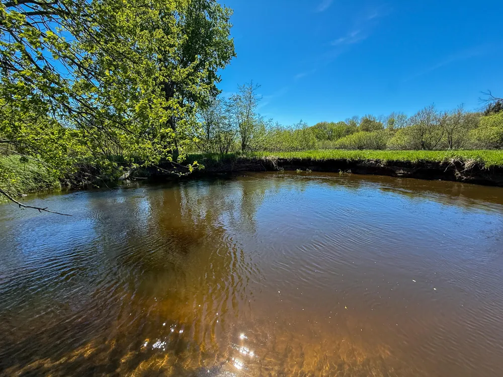 1583 Dennis Road Amber Township, MI 49431